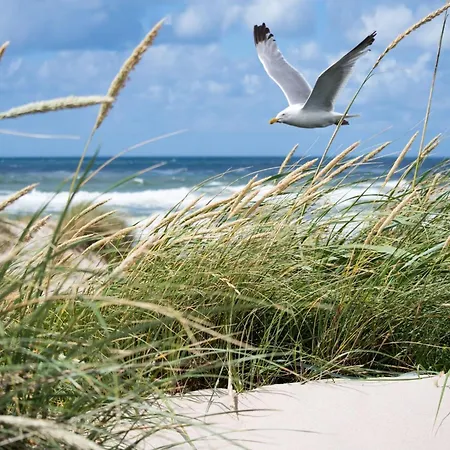 Coastal Family Escape In Knokke-Heist